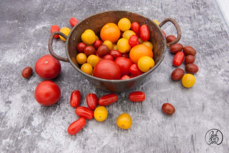 Tomaten Vielfalt