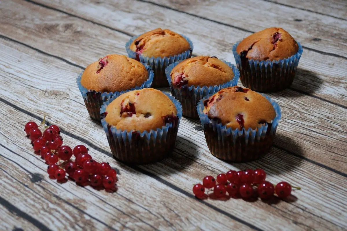 Johannisbeer Muffins, sommerliches Gebäck | cooknsoul.de