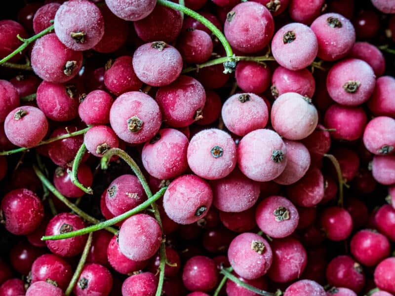 Johannisbeeren einfrieren