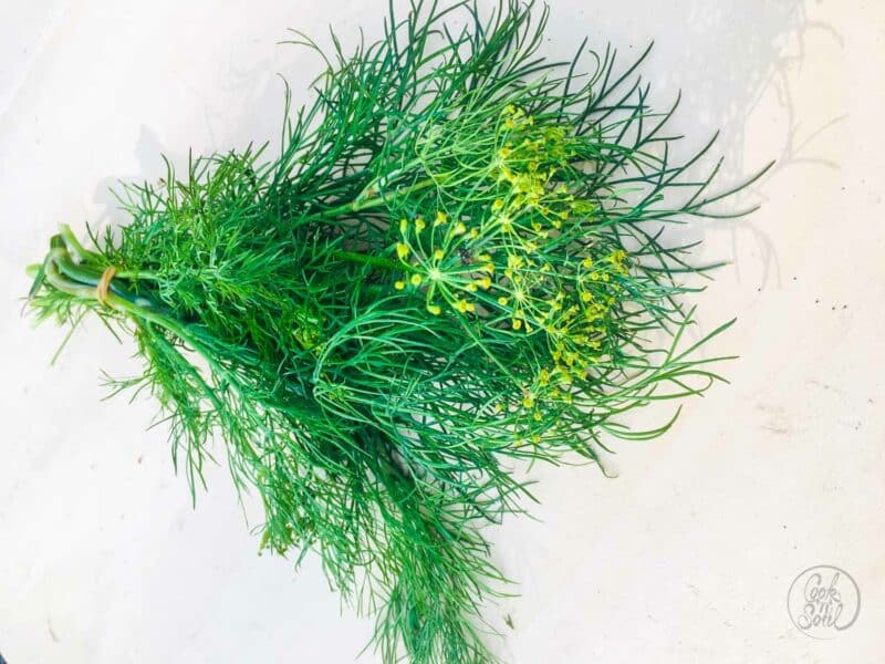 Dill als Gurkengewürz